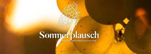 Sommerplausch: Save the Date!!