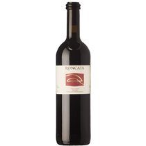 Roncaia Reserva Merlot del Ticino